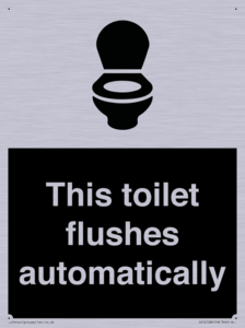 This toilet flushes automatically